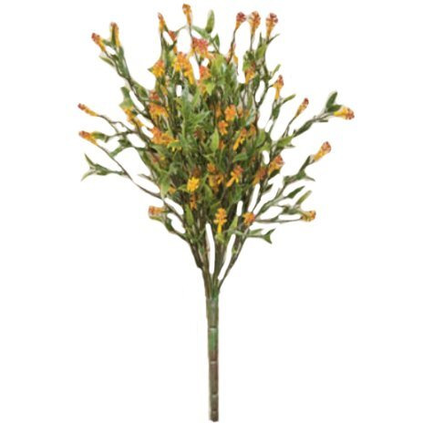 CWI Gifts 13  Bean Leaf Bush, Multi