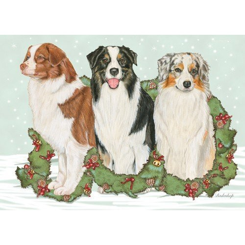 Pipsqueak Productions C586 Australian Shepherd Christmas Boxed Cards - Pack of 10