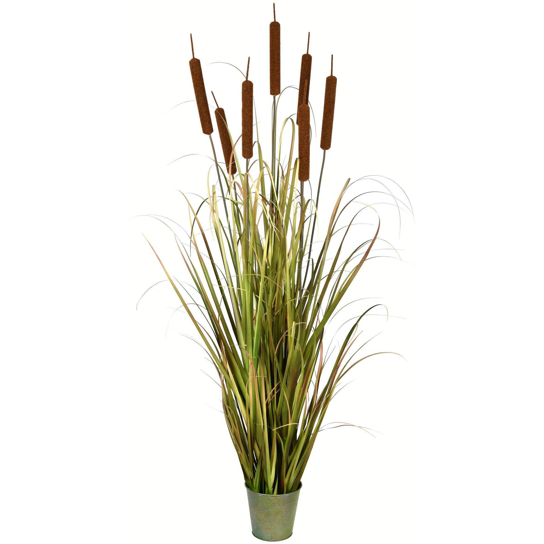 Vickerman Everyday 60  Artificial Green Grass and Cattails with Iron Pot - Faux Grass Plant Decor - Home Or Office Indoor Greenery Accent - Maintenance Free