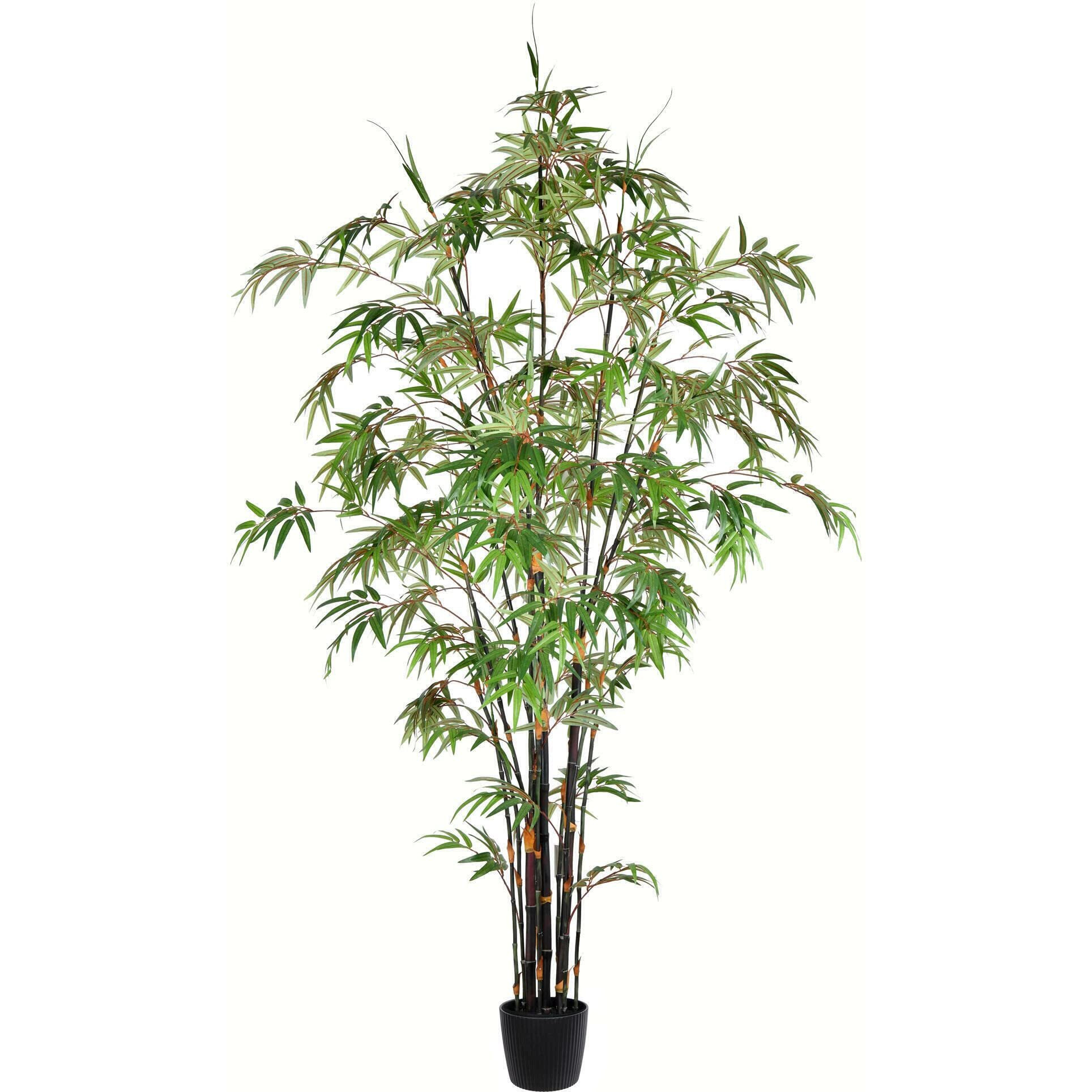 Vickerman Everyday 7' Artificial Potted Black Japanese Bamboo Tree - Premium Lifelike Faux Plant for Home or Office Decor - Maintenance Free Bamboo Tree