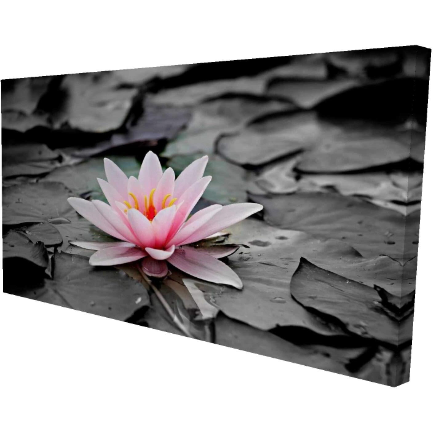 Begin Water Lily - Print on Canvas Edition