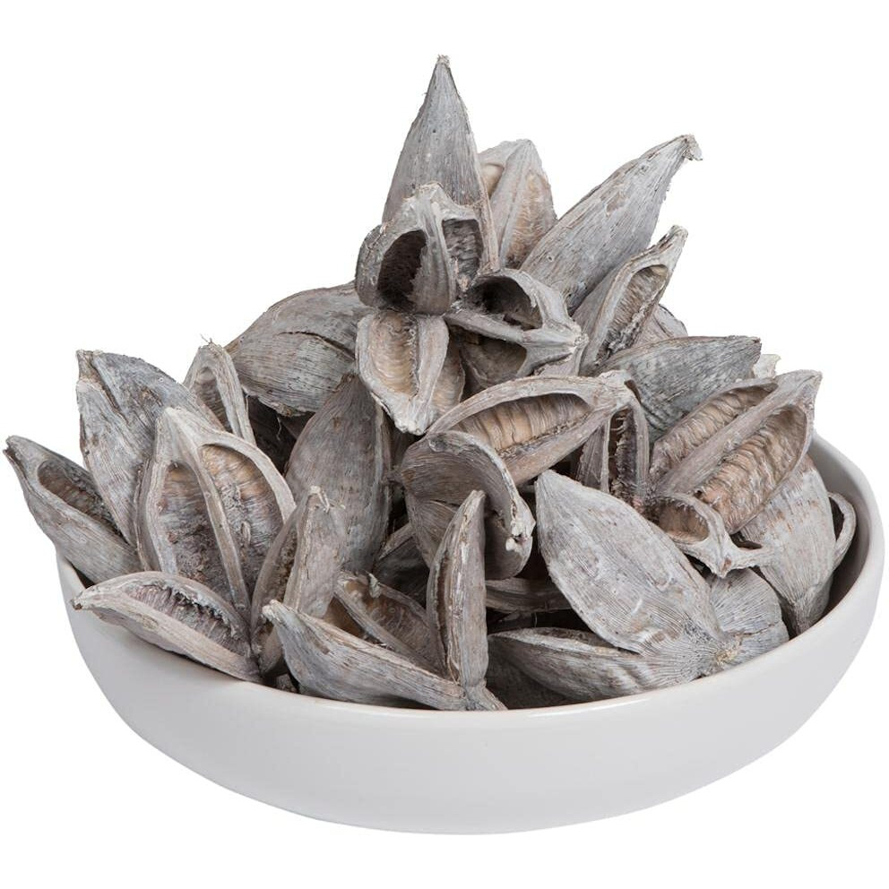 Vickerman 651322-3-4  White Wash Sora Pods 250/Bulk Case (H2SORB900) Dried and Preserved Pods