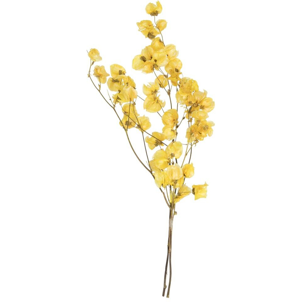 Vickerman H2CAR700 13.5-17 in. Cara Blossom Bundle Yellow