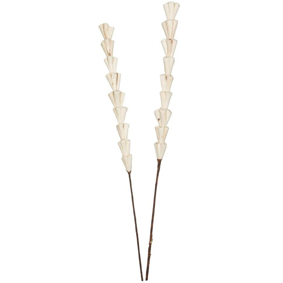 Vickerman 686140-24  Natural Sola Rajani Stick 24/bg (H7SRS900) Dried and Preserved Reeds and Bamboo