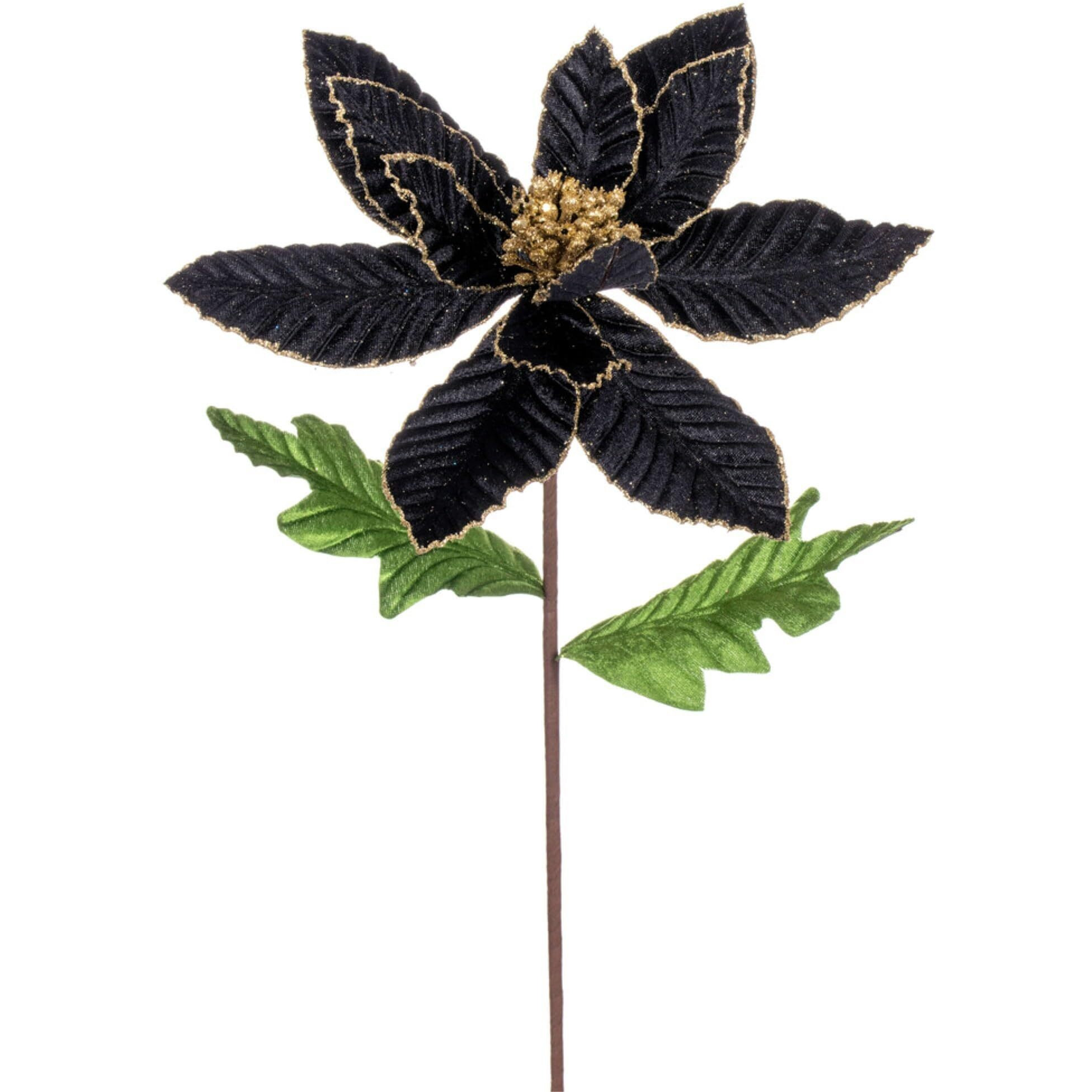 Vickerman 22  Black Velvet Glitter Trim Poinsettia, 6 per Bag.