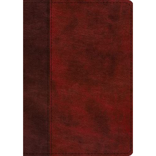 ESV Single Column Journaling Bible - Large Print, Burgundy & Red Timeless Design