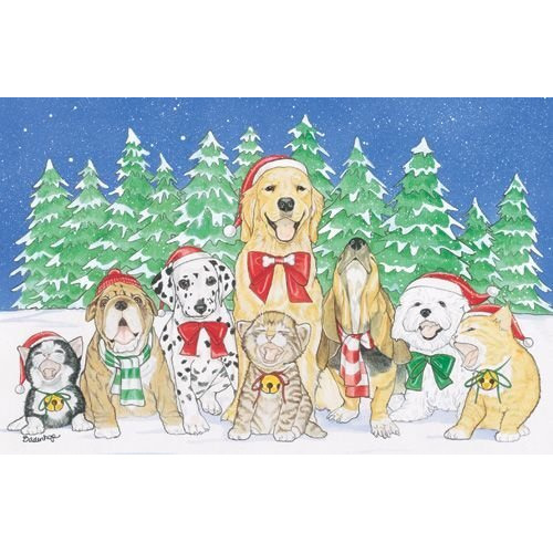 212 Main Mix Dog with Cat Holiday Boxed Cards