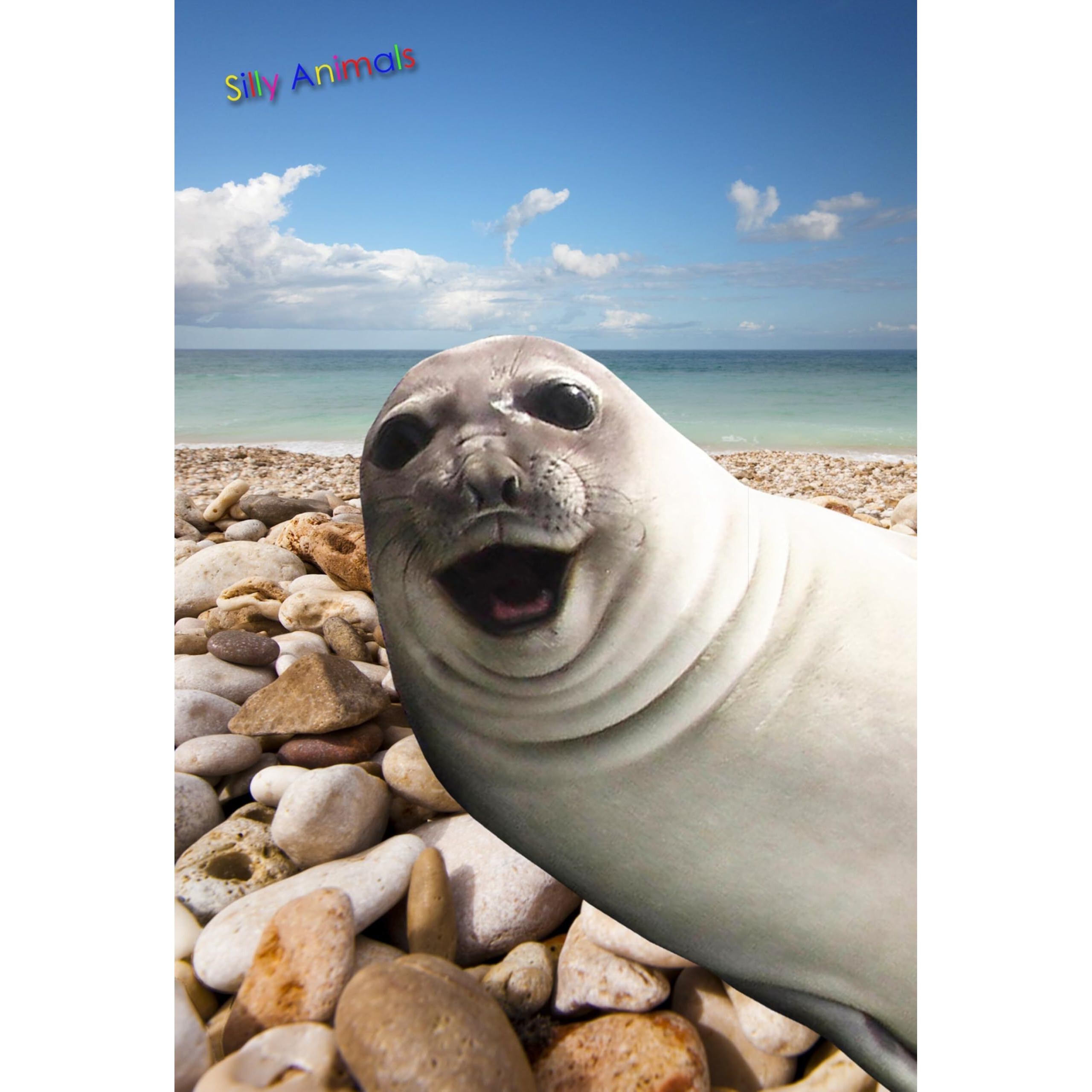 Gift Trenz Seal Selfie 3D Postcard (20344)