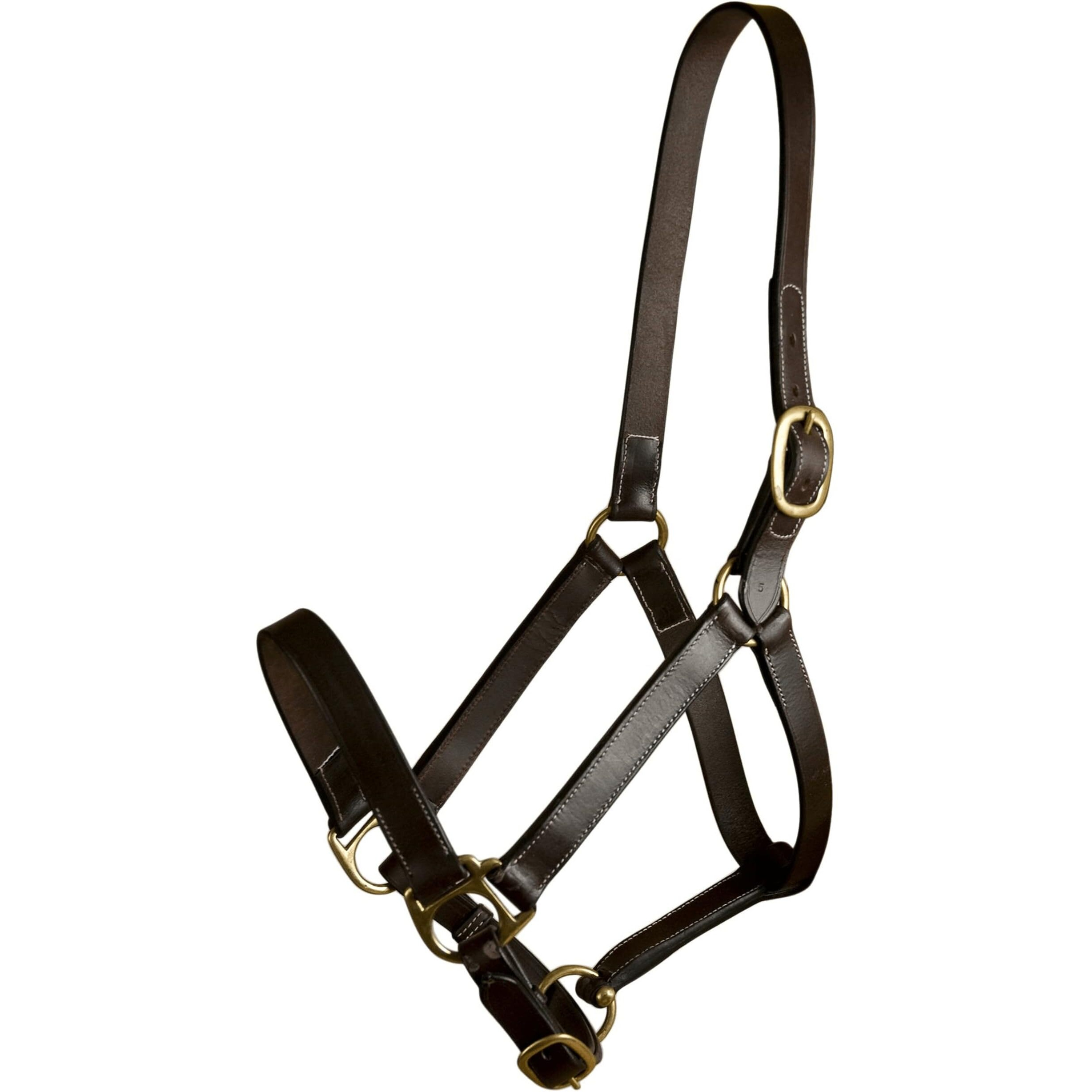 GATSBY LEATHER COMPANY 283541 Leather Halter Havanna Bron, Horse