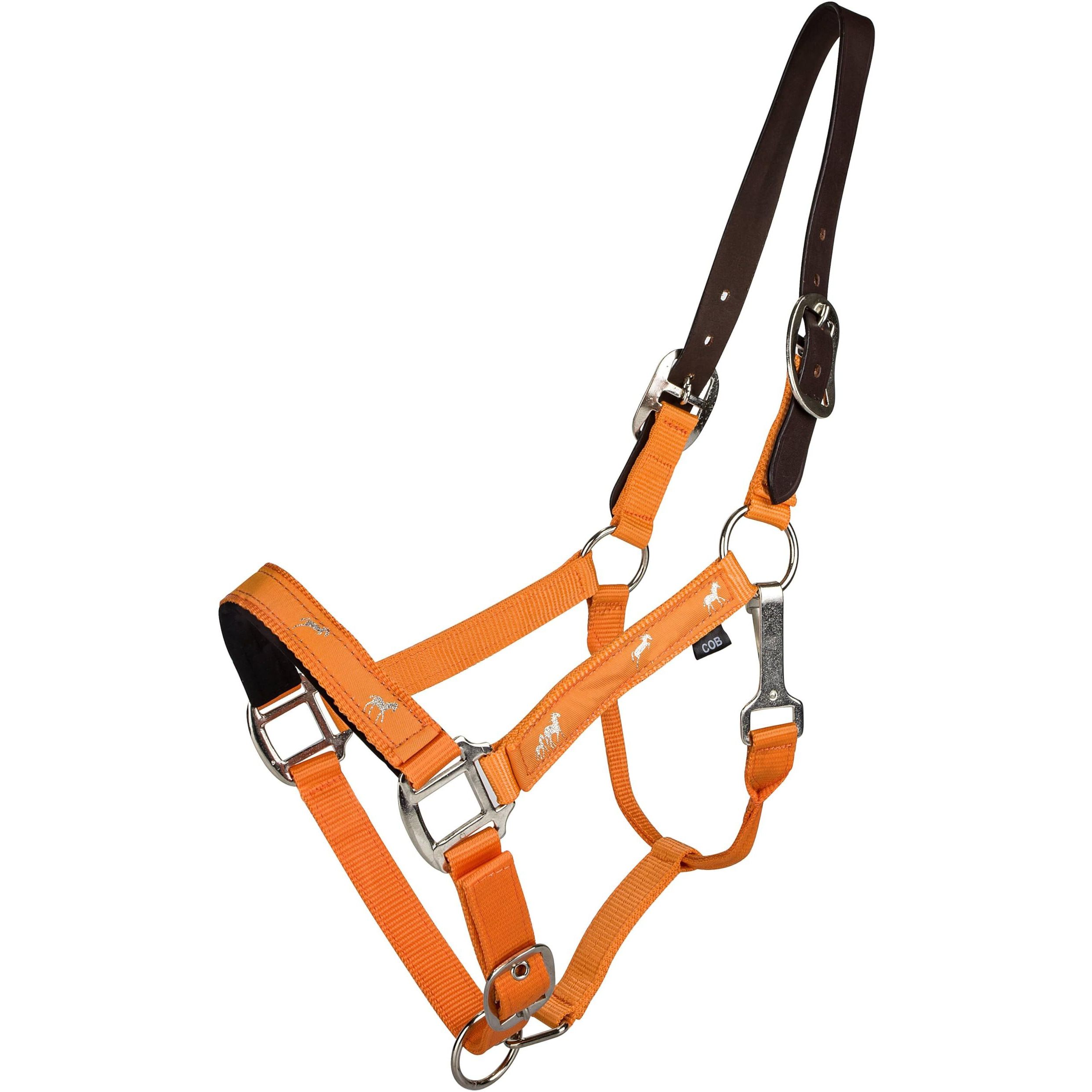 Gatsby Nylon Breakaay Halter Overlay Horse Orange