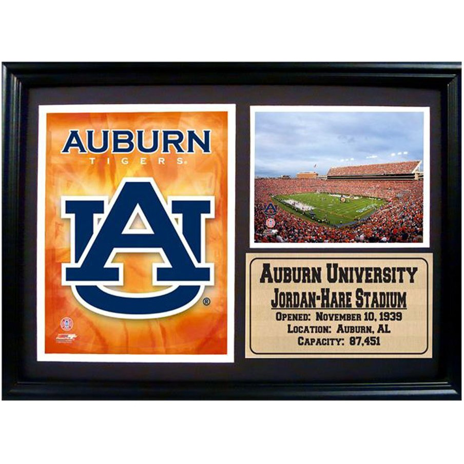 Encore Select 129-02 NCAA Auburn Tigers Framed University and Jordan-Hare Stadium Print, 12-Inch by 18-Inch