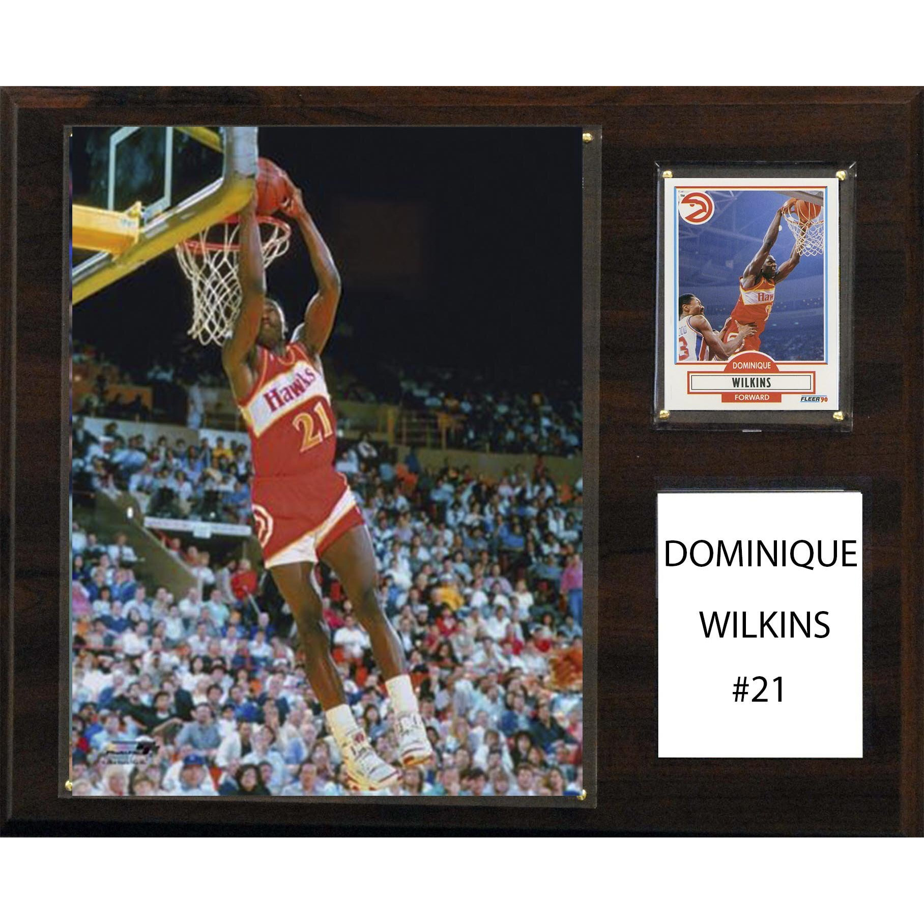 C&I Collectables NBA Atlanta Haks Dominique Wilkins Player Plaque, 12 x 15-Inch