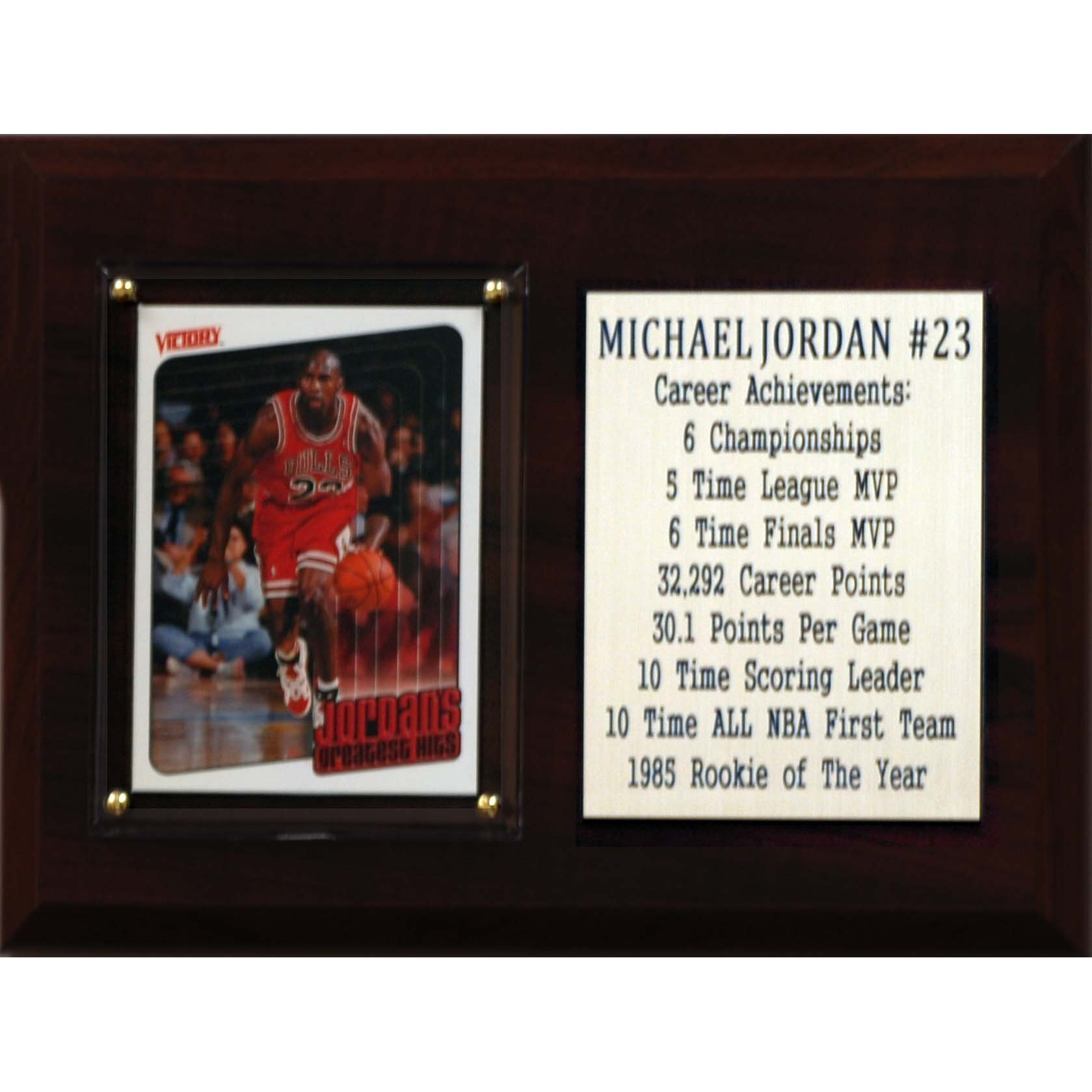 NBA Chicago Bulls Michael Jordan Career Stat Plaque, 6  x 8 , Bron