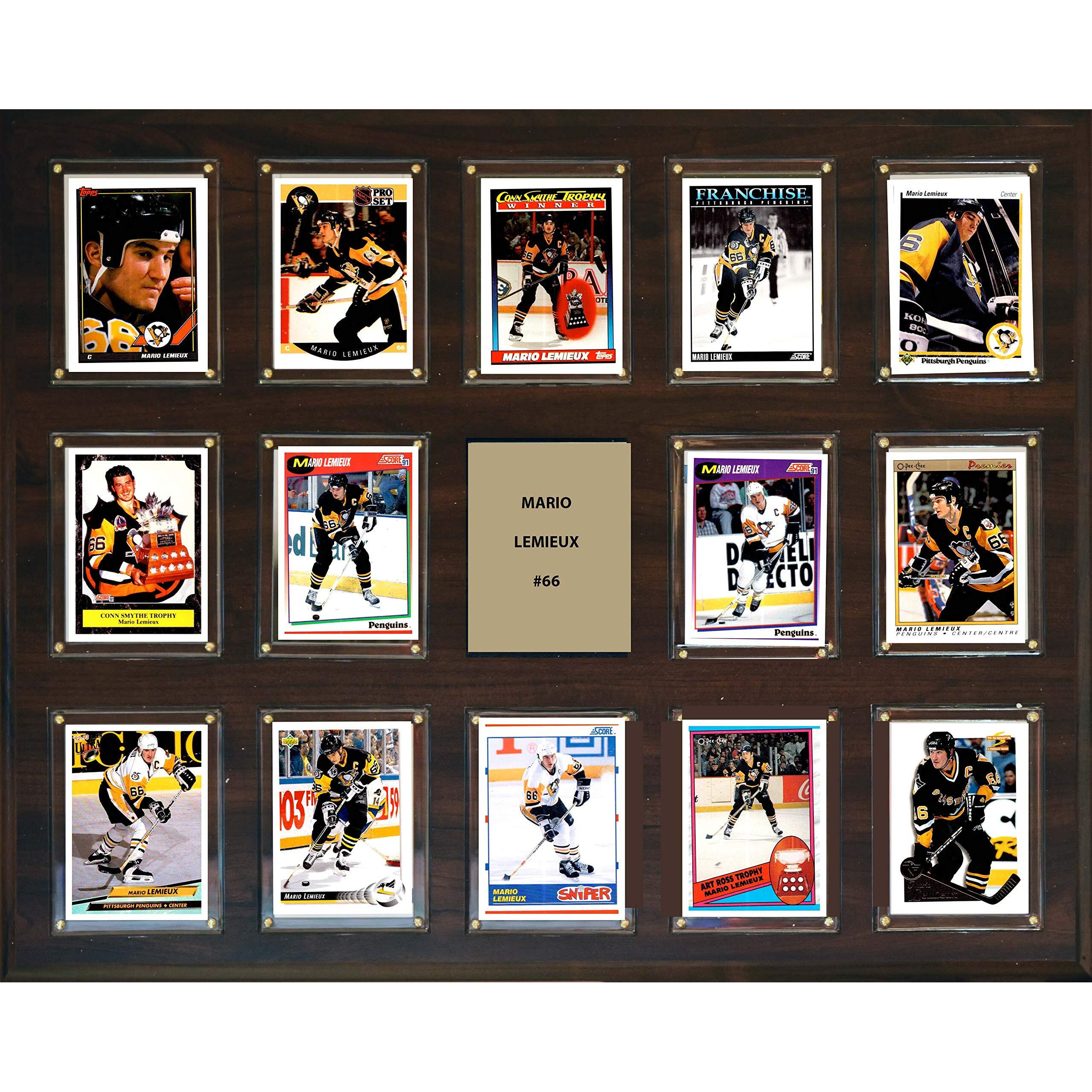 C&I Collectables NHL Pittsburgh Penguins Plaque, Brown, 16 x20