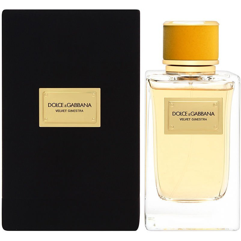 Dolce & Gabbana Velvet Ginestra Pour Femme 5.0 oz Eau de Parfum Spray