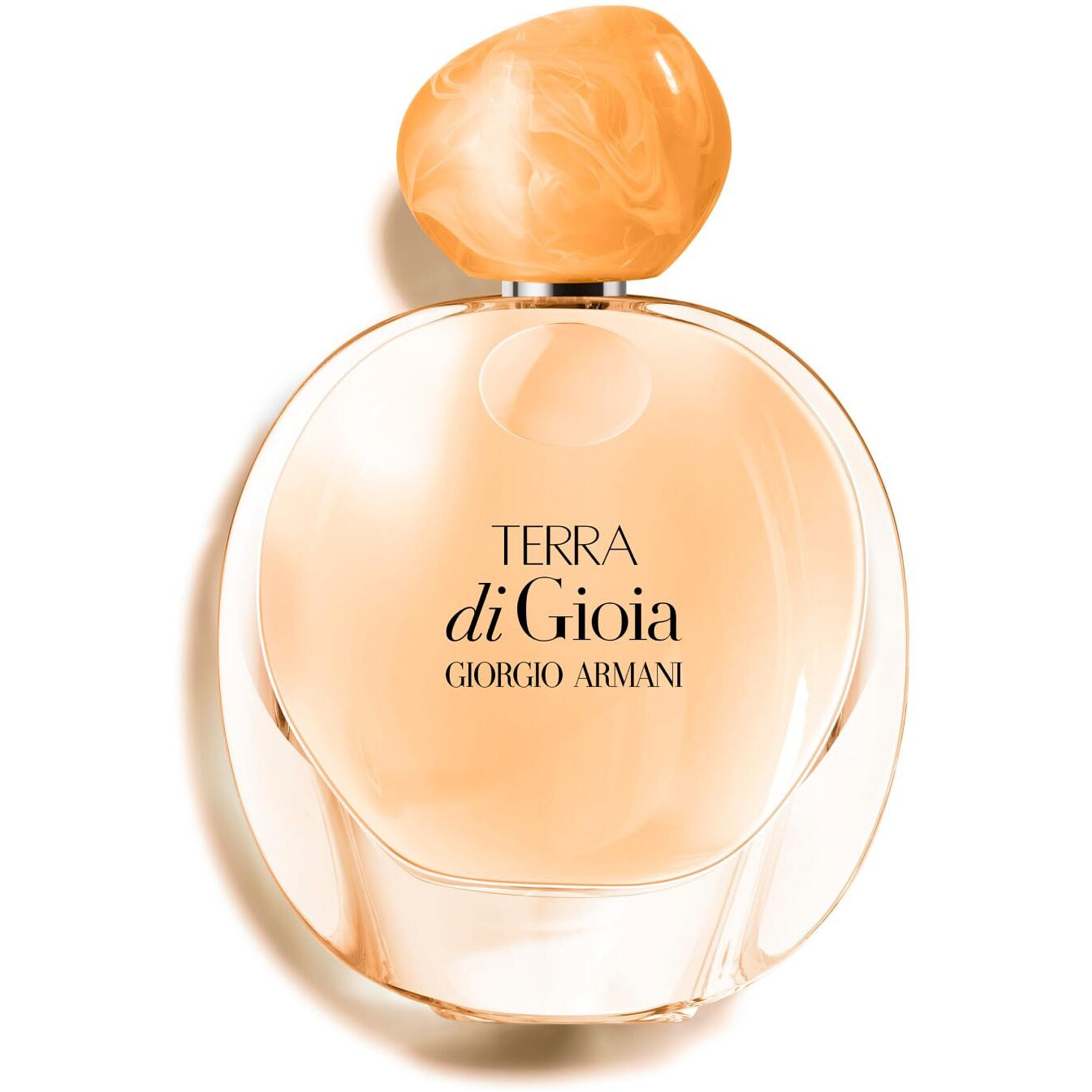 Armani beauty  Terra di Gioia  Eau de Parfum  Perfume for Women  Floral Fruity & Ambery Womens Fragrance  Almond Blossom, Jasmine Infusion, Ambery Woods Notes - 1.7 Fl Oz