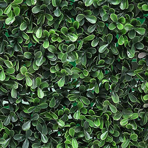 BeautifulWalls Artificial Wall Grass for Home Decoration (8 Pcs) I Grass Mat for Wall I Vertical Garden Artificial Wall Plants (Dark Green, 60cm X 40cm X 3cm, Pack of 8)