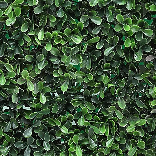 Beautifulwalls Artificial Wall Grass for Home Decoration (10 Pcs) I Grass Mat for Wall I Vertical Garden Artificial Wall Plants (Dark Green, 60cm X 40cm X 3cm, Pack of 10)