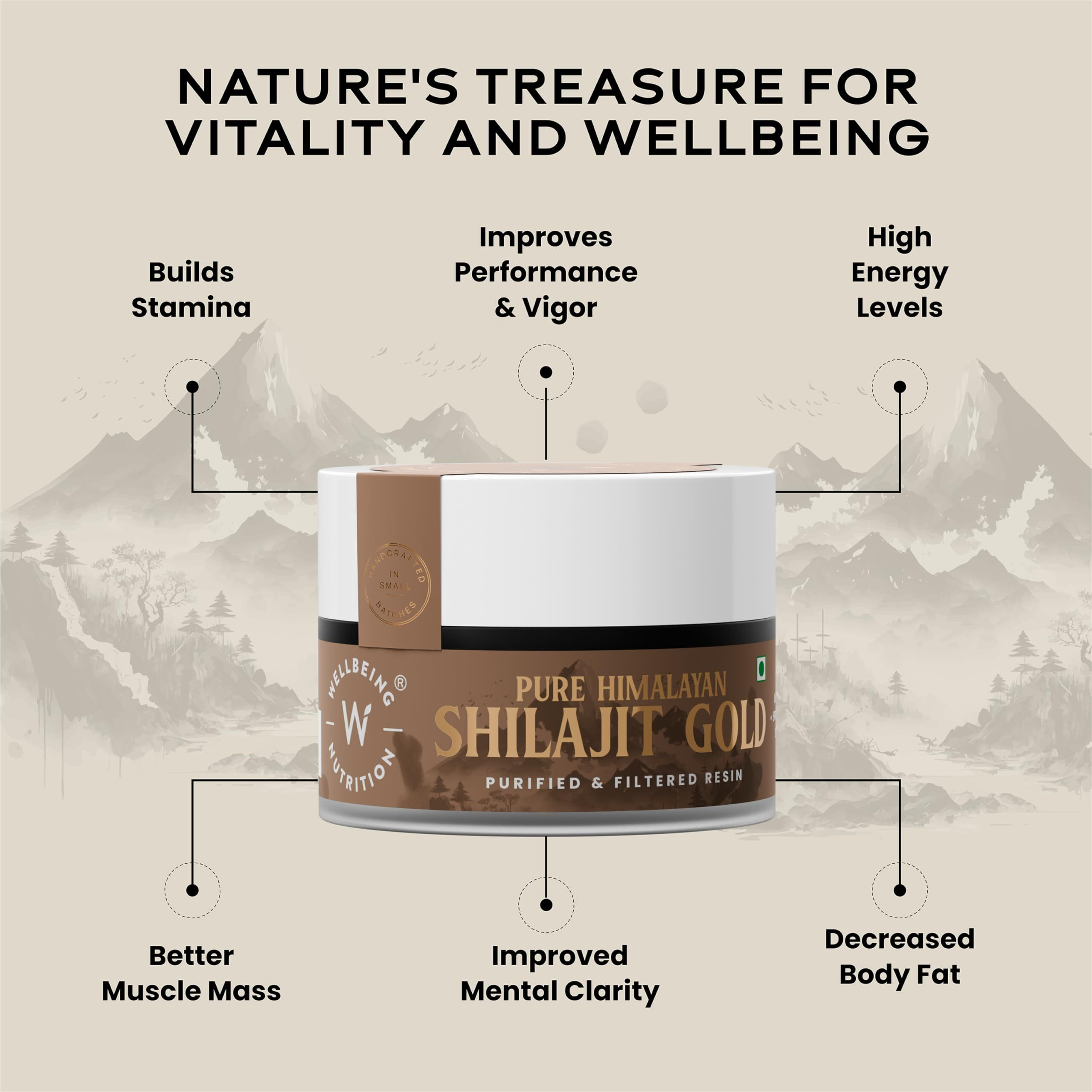 Wellbeing Nutrition Pure Himalayan Shilajit Gold Resin for Strength, Stamina, Performance, Stress Relief and Vitality | With Ashwagandha, Safed Museli & Swarna Bhasma (24K Gold Leaf) | Lab Tested - 20g