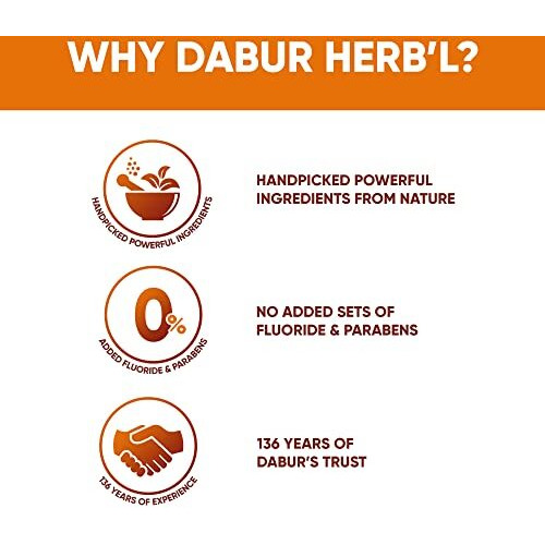 Dabur Herb'l Clove 300g (200g + 100g) - Cavity Protection Toothpaste with No added Fluoride and Parabens