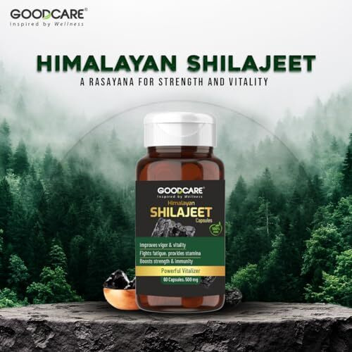 GOODCARE (A Baidyanath Brand) 100% Pure Himalayan Shilajit/Shilajeet Capsules - Boosts strength, stamina & immunity I Improves Vigor & Vitality - 60 Capsules