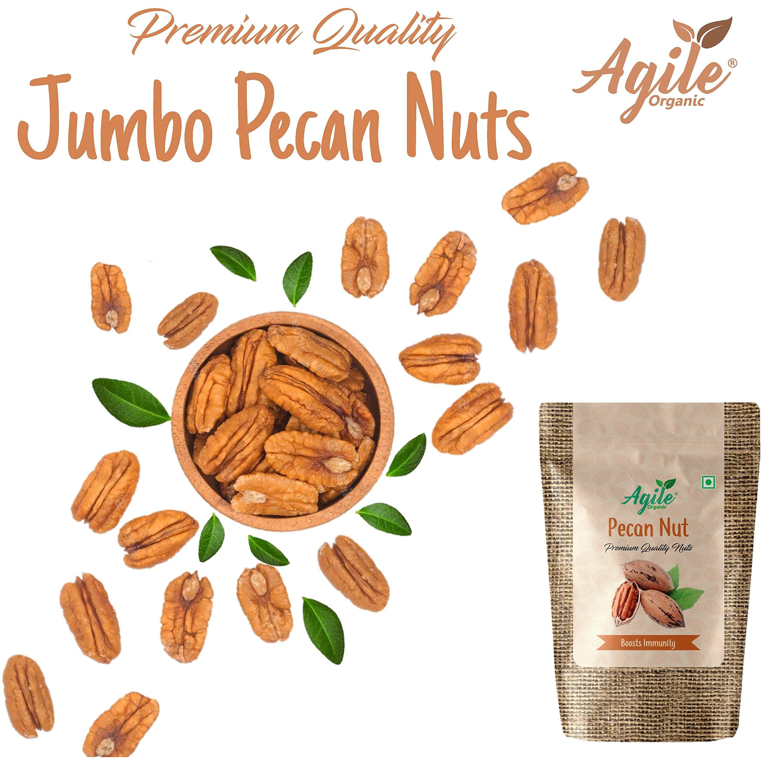 Agile Organic Premium Pecan Nuts 100g (Healthy Nuts)