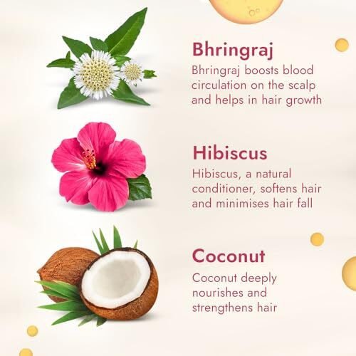 Parachute Advansed Bhringraj & Hibiscus-enriched Coconut Hair Oil| Hibiscus Oil| Superfoods Touch| Hair Fall Control| 300 Ml