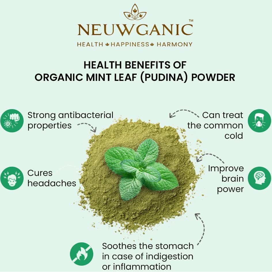 Neuwganic - Organic Mint Leaf Powder - Pudina Powder | India Organic and USDA Organic Certified | Ideal For Cooking & Cosmetics Use | 450 Gm