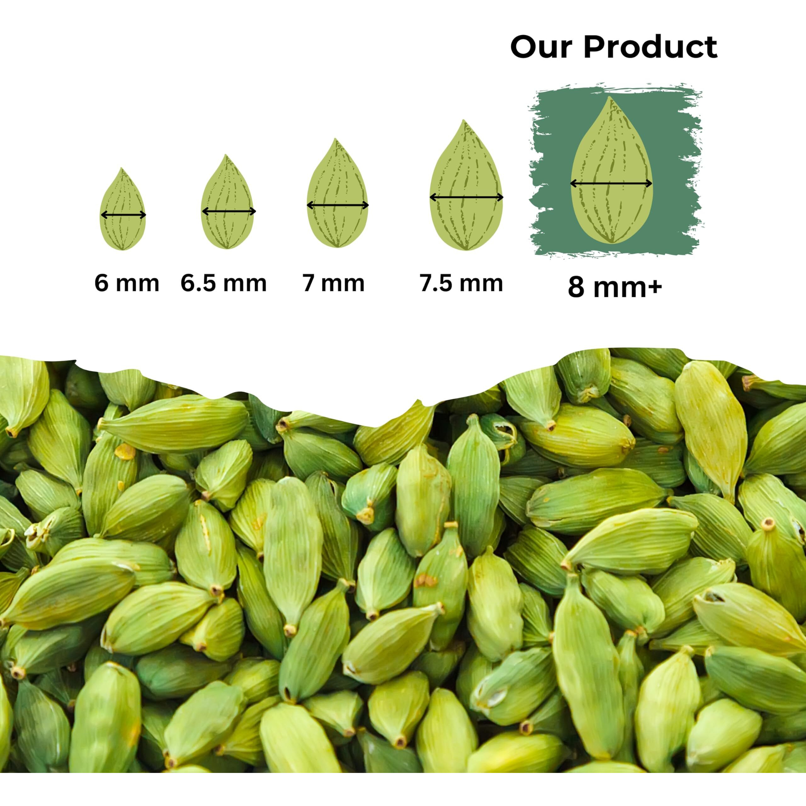 GOURMET HEALTH IMPRESSIONS Superior Grade Whole Green Cardamom (Elaichi) 50g - 8MM BOLD Size | Large Size | Aromatic Green Pods, Non-GMO - Perfect for Culinary & Aromatic Uses | GHI Foods