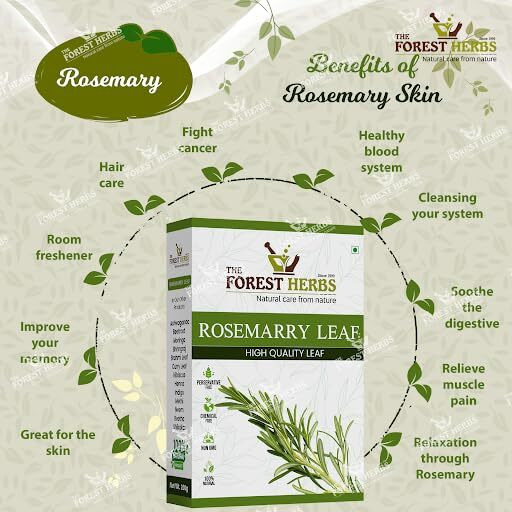 The Forest Herbs Natural Care From Nature Rosemary Dried Leaves - 100gm | Clean & Sorted Dry Rosemary Leaves for hair growth & Food 100g