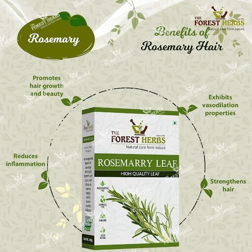 The Forest Herbs Natural Care From Nature Rosemary Dried Leaves - 100gm | Clean & Sorted Dry Rosemary Leaves for hair growth & Food 100g