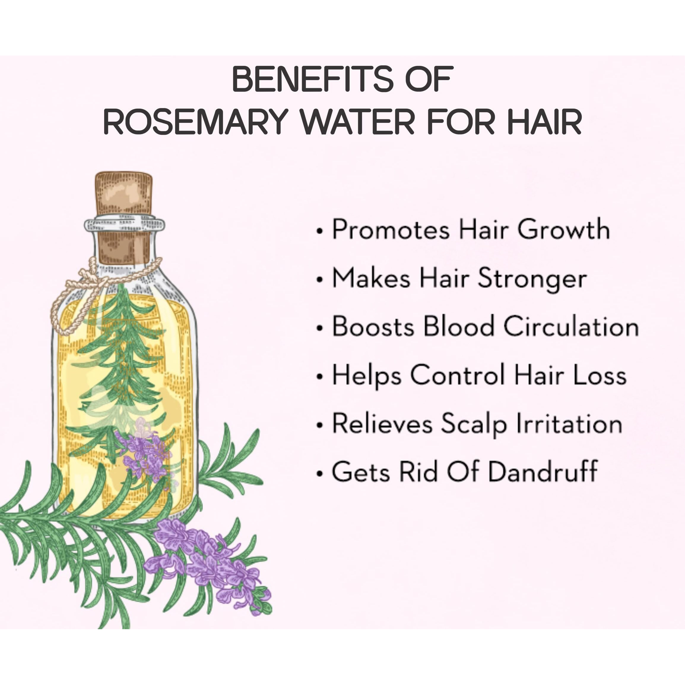 Coco Organics Rosemary Dried Leaves With Applicator - 100gm, Rosemary Leaves For Hair Growth, Food & Tea (100 gm)