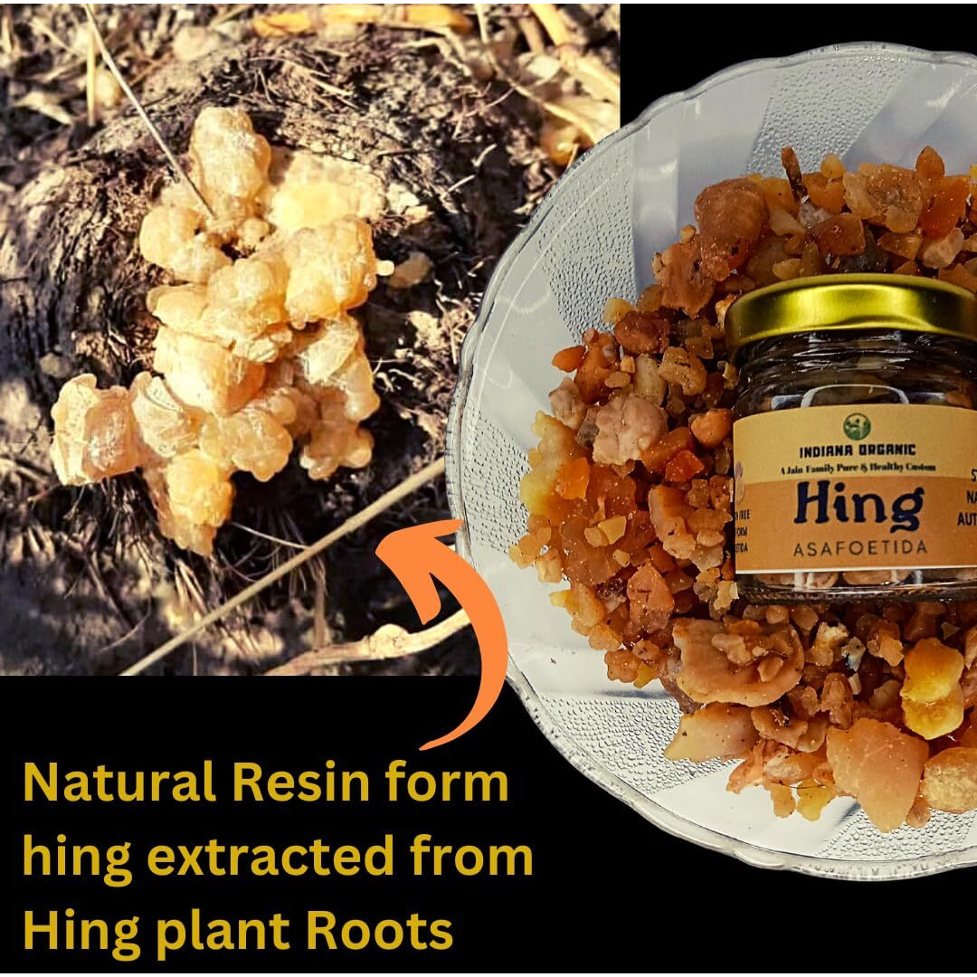 INDIANA ORGANIC Hing 23 G Whole Sabut | Asafoetida Resin Crystal Whole Hing | Natural Raw Pure Gluten Free Hing, 23 Gram, Vegetable Masala