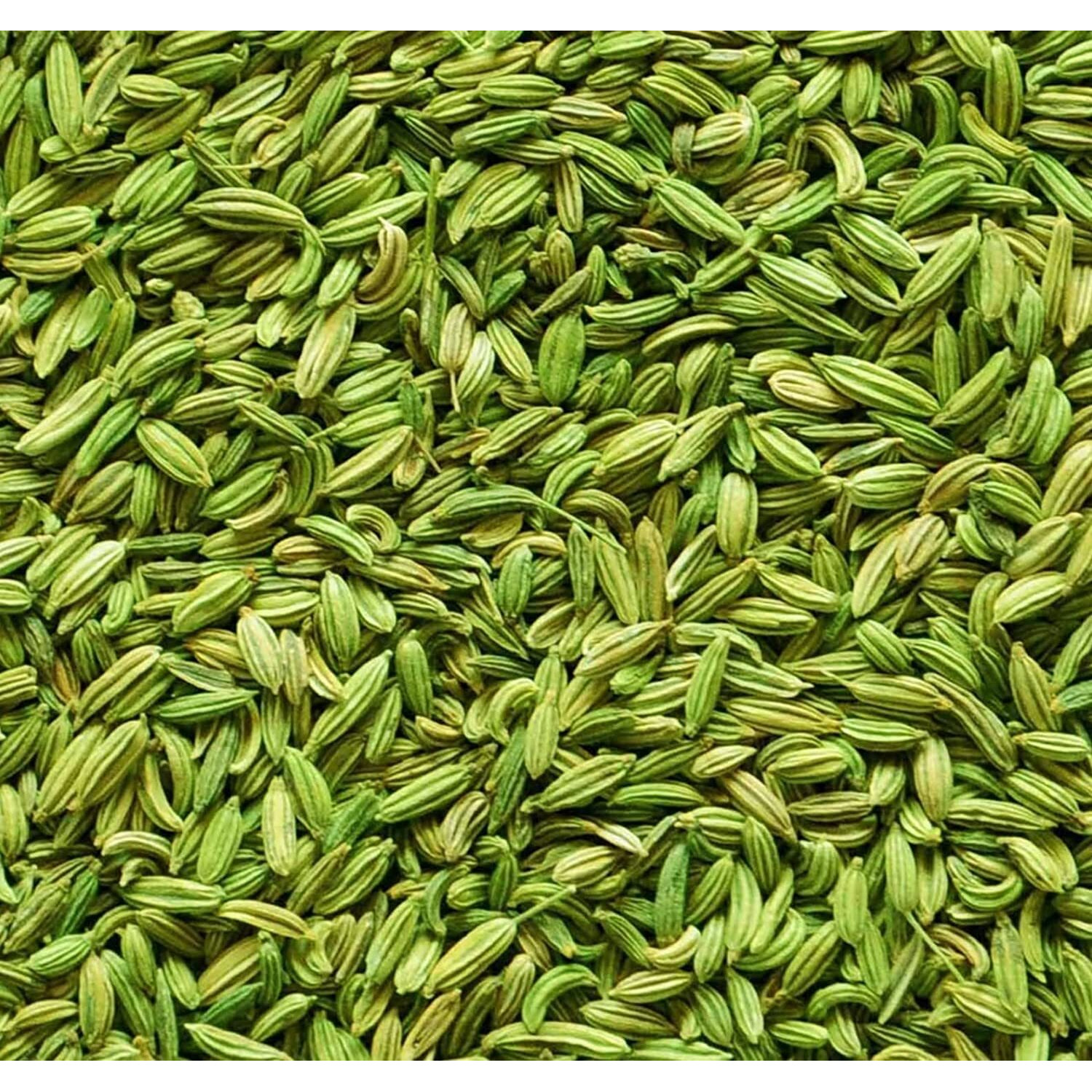 Premium Whole Fennel Seeds (Saunf Moti/Variyali/Mouri/Sompu/Sompulu/Somp/Perumjeerakam), 400g - Fresh and Aromatic | No Preservatives