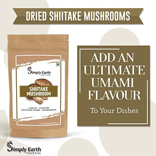 Simply Earth Shiitake Mushroom Extract Powder Supports Healthy Cholesterol & Helps BP Levels | for Immunity, Heart health | 100 GM