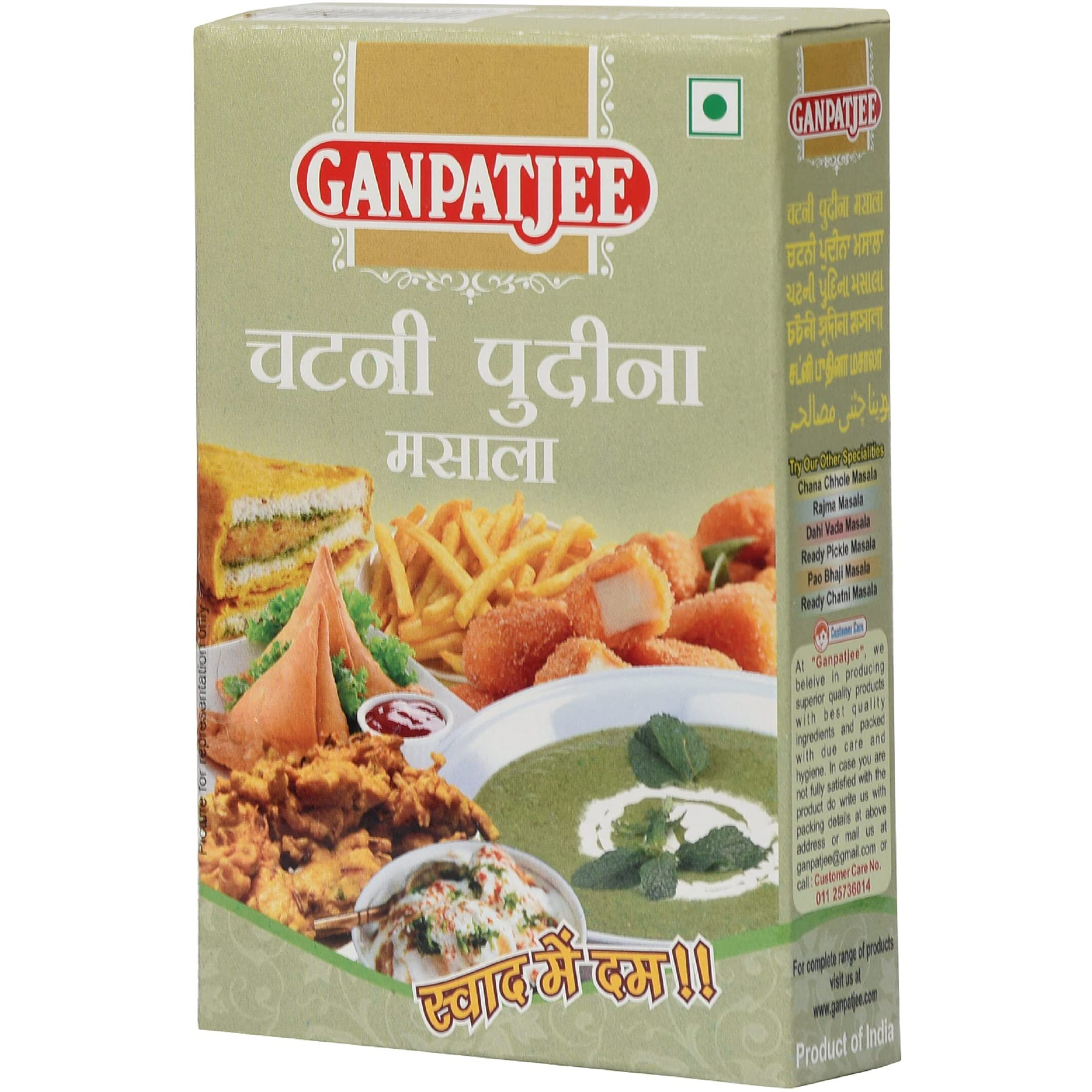 Ganpatjee Pudina Chutney Masala, 200G | PACK OF 100G X 2 | Ready To Use Mint Chutney Masala