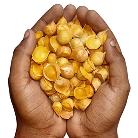 RAMRAJ Kashmiri Garlic Lehsun | Himalayan Single Clove Garlic Grade-A Qualilty 200 Gram | Herbal Product