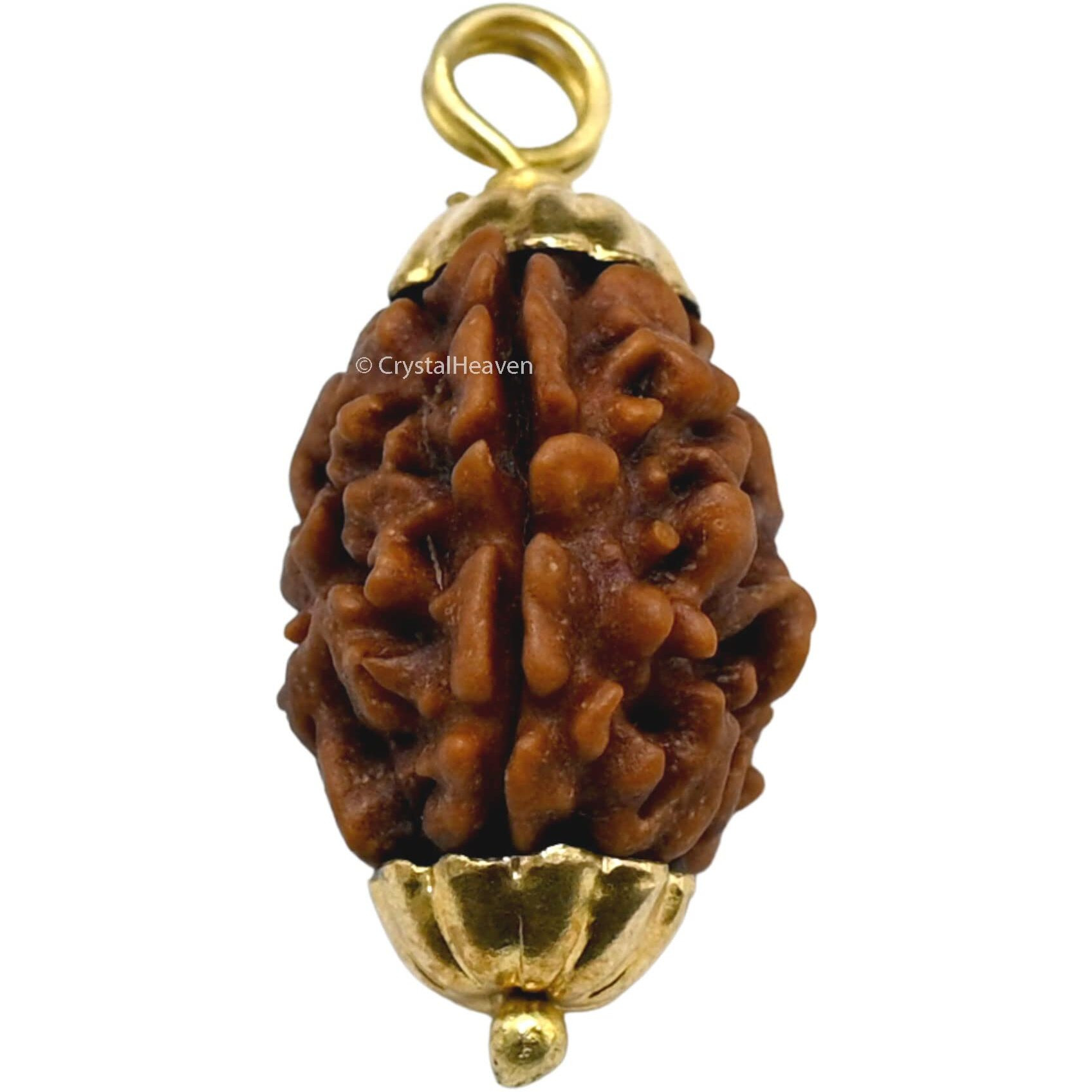 Crystal Heaven Rudraksha Original 3 Mukhi Pendant Necklace for Women Men | Certified Rudraksha with Velvet Pouch (Gold)