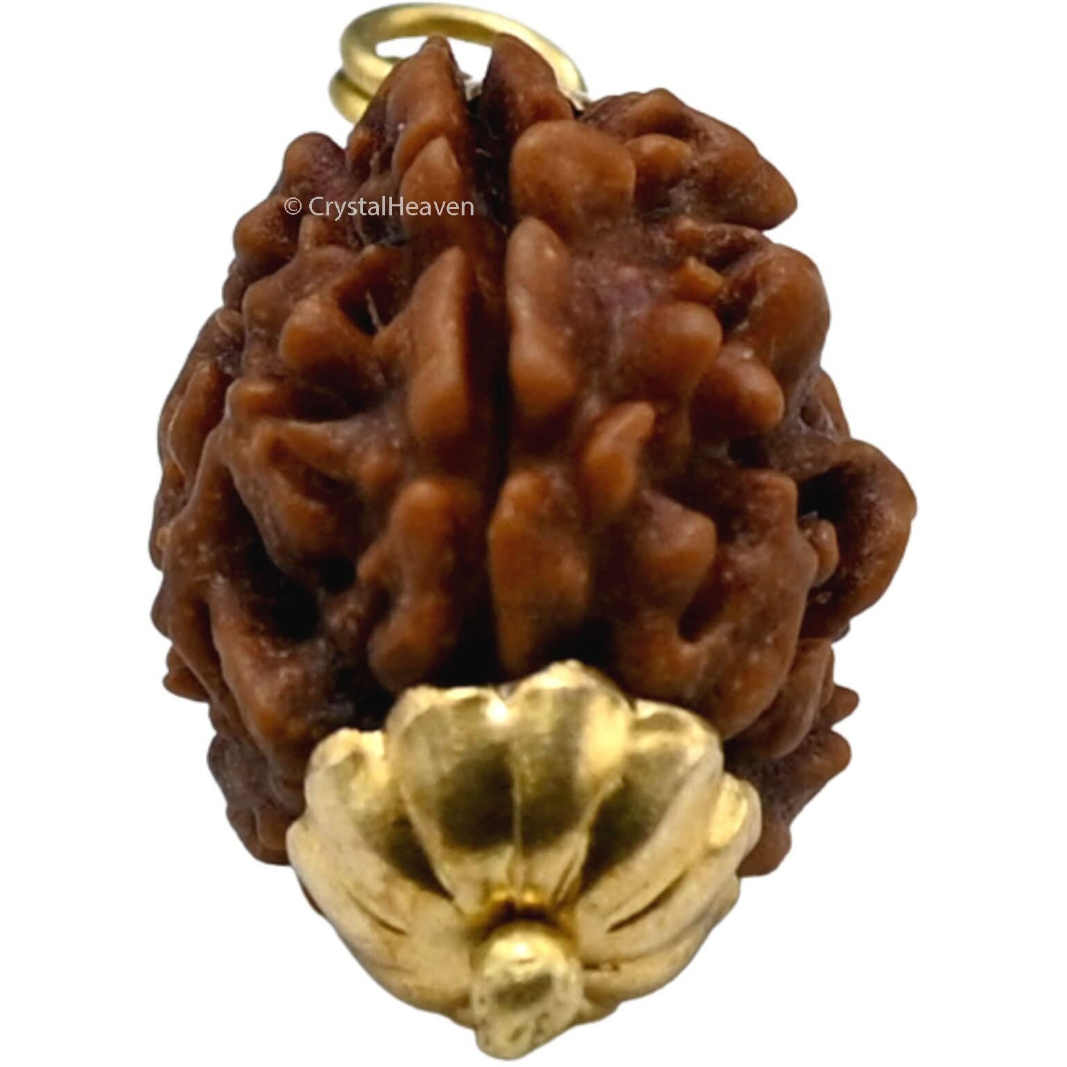 Crystal Heaven Rudraksha Original 3 Mukhi Pendant Necklace for Women Men | Certified Rudraksha with Velvet Pouch (Gold)