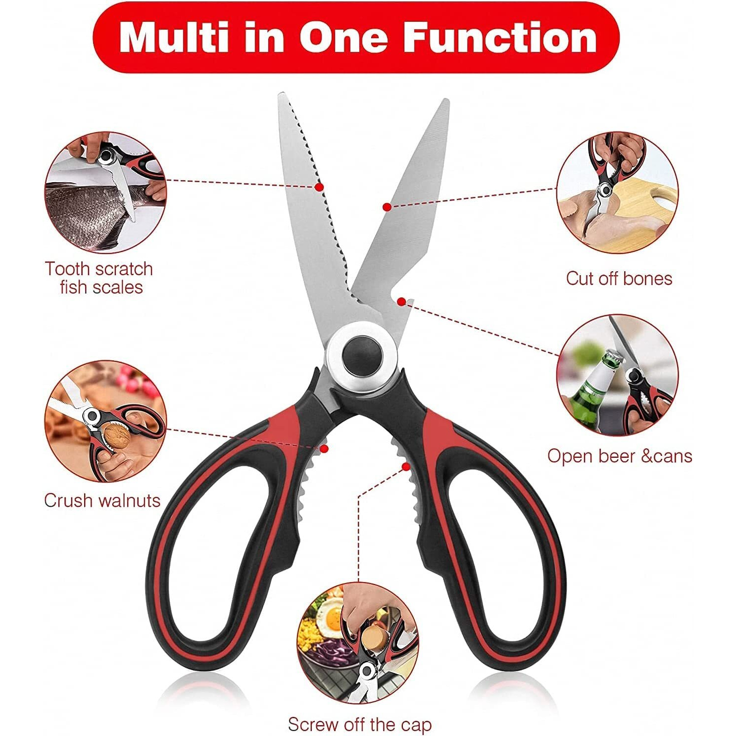 Carrot - Kitchen Scissor for General Use, Heavy Duty Kitchen Raptor Meat Shears, Cooking Scissors, Stainless Steel Multi-Function Scissors for Food, Chicken, Poultry, Fish, Pizza, Herbs (PACK OF 1)