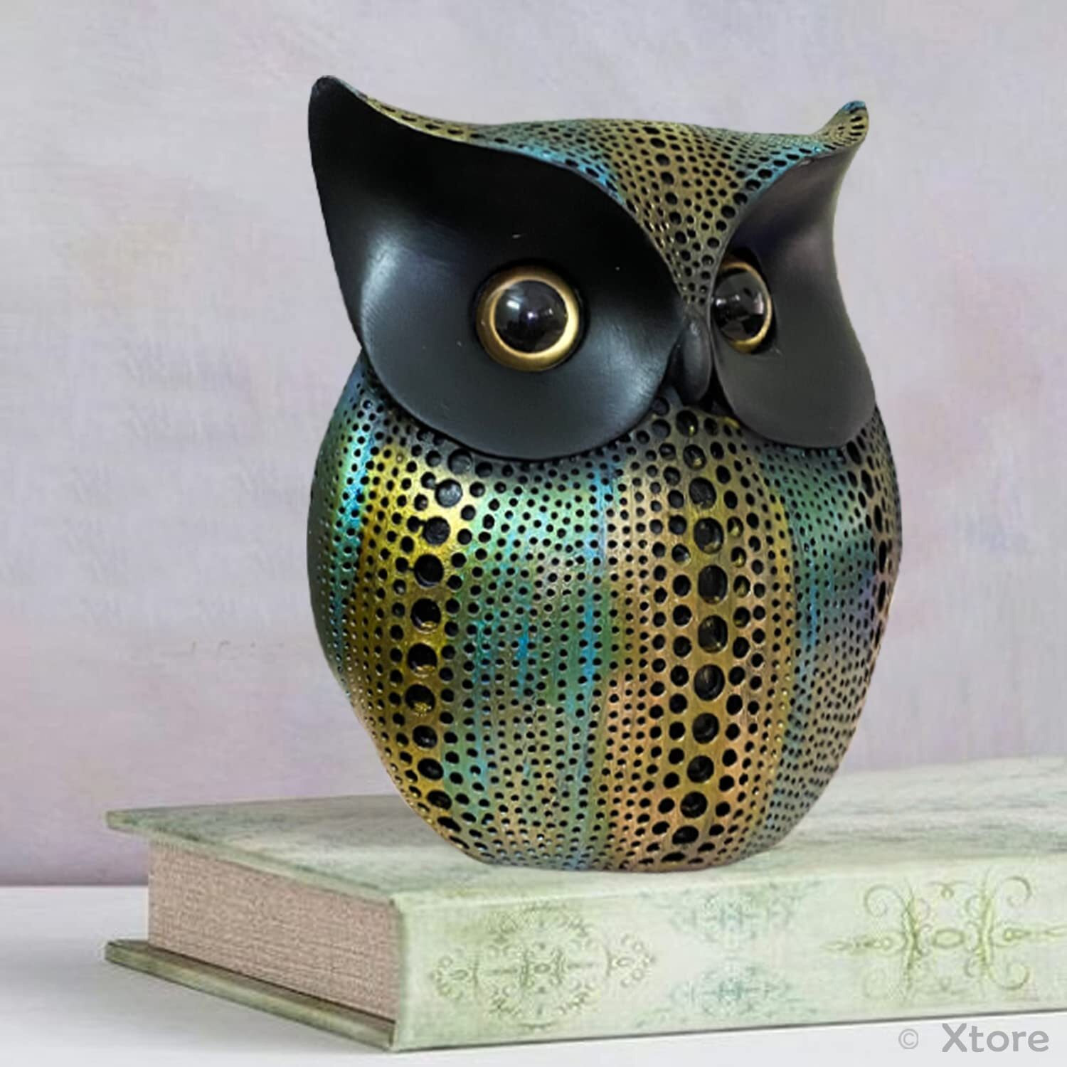 Xtore Modern Classy Lucky Owl Resin Art Figure Showpiece -(Pack of 1,Multicolor)