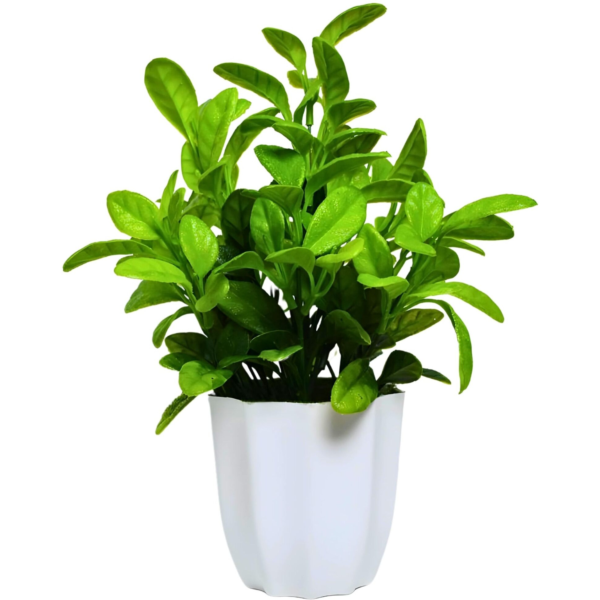 fancymart Artificial Plant Citrus Leaves in Pot Perfect Potted Decoration for Home Living Room & Office Spaces Height - 30cm