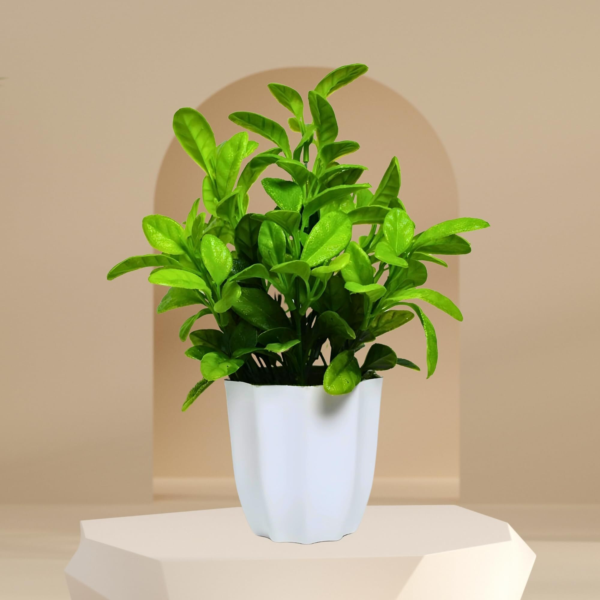 fancymart Artificial Plant Citrus Leaves in Pot Perfect Potted Decoration for Home Living Room & Office Spaces Height - 30cm