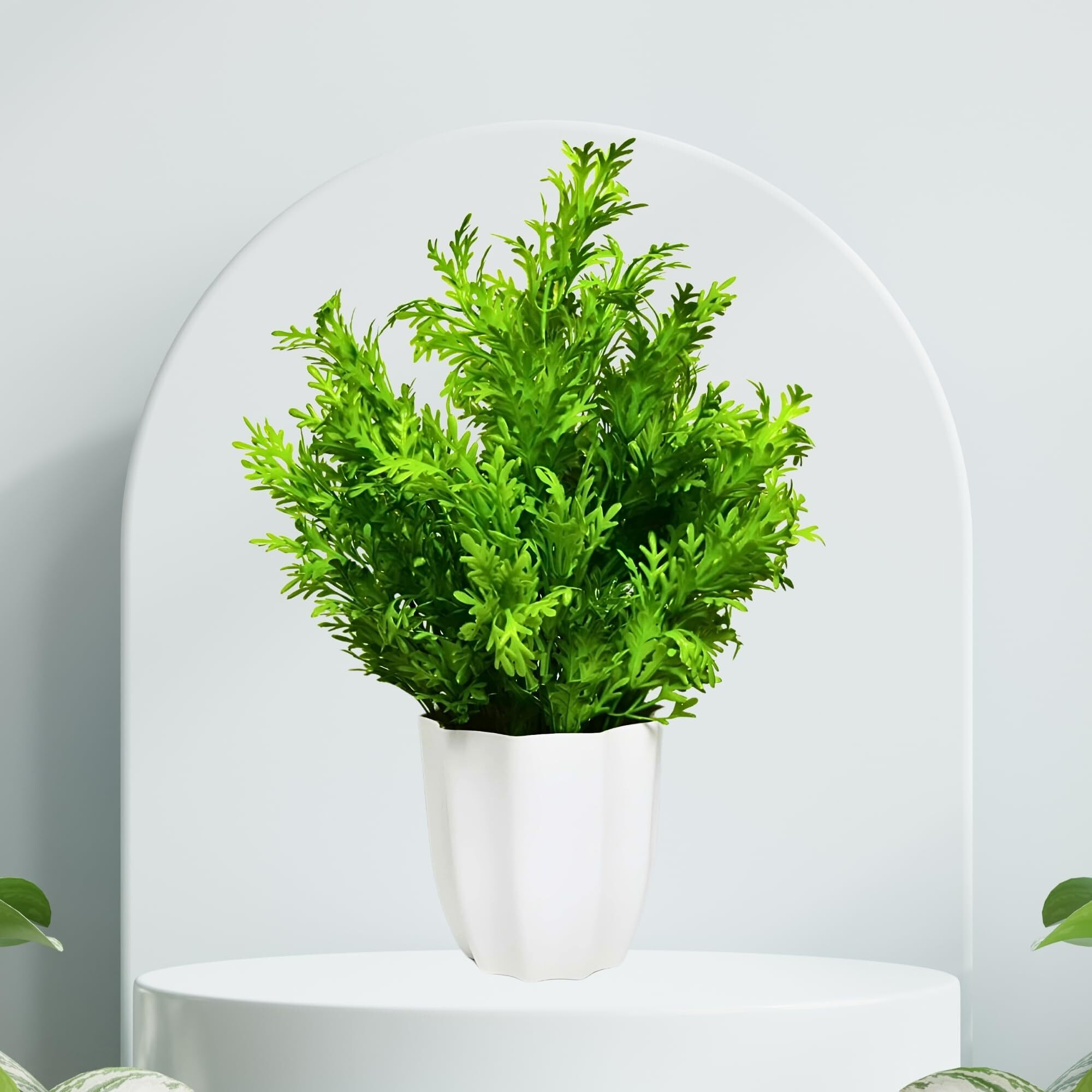 fancymart Artificial Plant Parsley Leaves in Pot Perfect Potted Decoration for Home Living Room & Office Spaces Height - 30cm