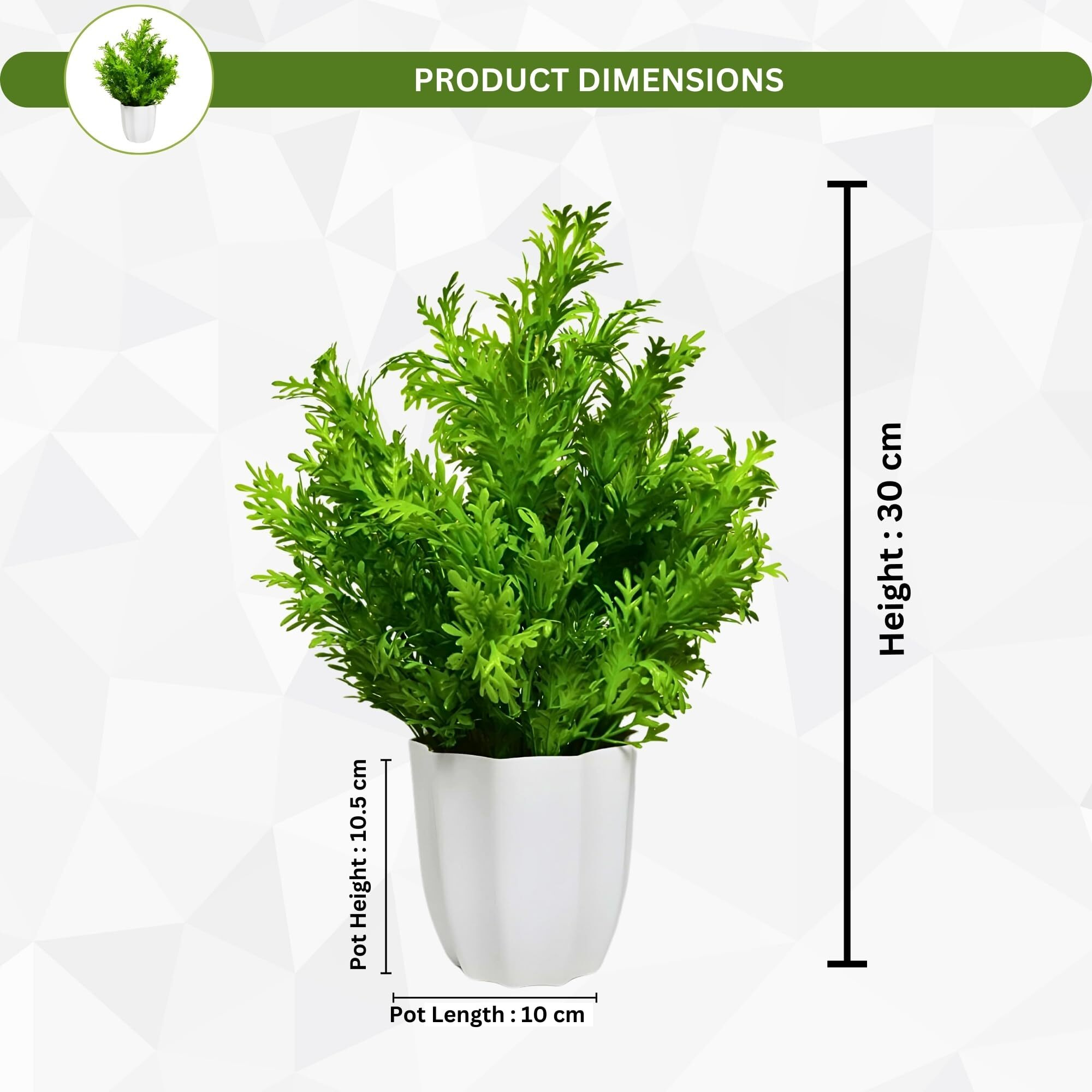 fancymart Artificial Plant Parsley Leaves in Pot Perfect Potted Decoration for Home Living Room & Office Spaces Height - 30cm