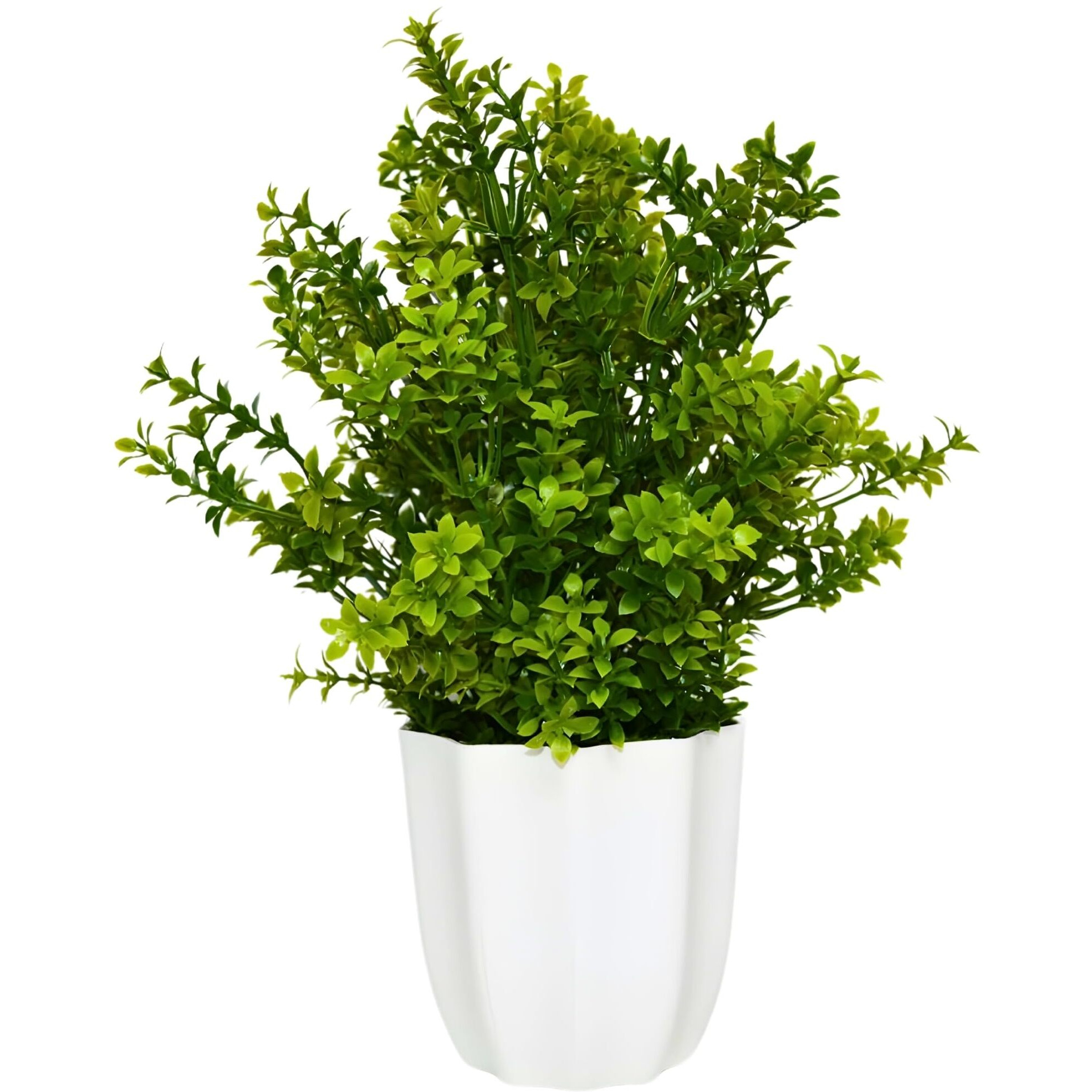 fancymart Artificial Plant Gardenia Leaves in Pot Perfect Potted Decoration for Home Living Room & Office Spaces Height - 30cm