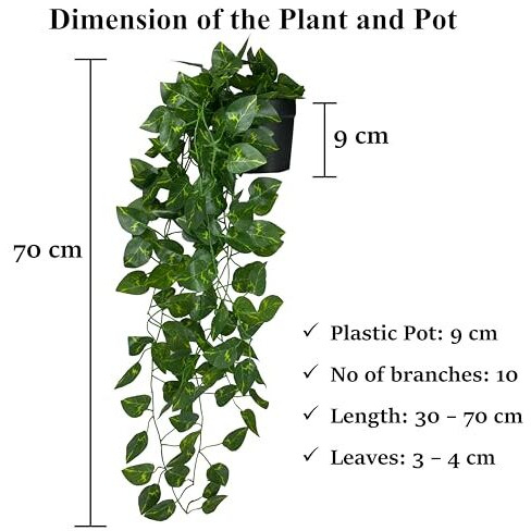 Tdas Artificial Plants with Pot Leaves Hanging Ivy Garlands Plant Greenery Vine Creeper Home Decor Door Wall Balcony Decoration Party Festival Craft (1 Pcs Money Plant)