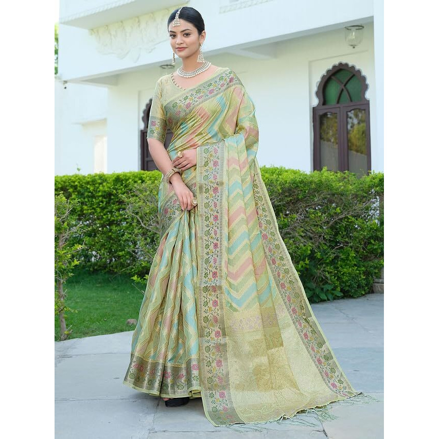 Satrani Womens Organza Banarasi Jacquard Saree with Unstitched Blouse Piece (3086S145N_Pista Green)