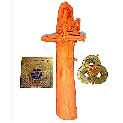 Shreenathji Swetark Ganpati with Aakda ark MUL ganpati Ganesh Yantra Good Luck Three Coin