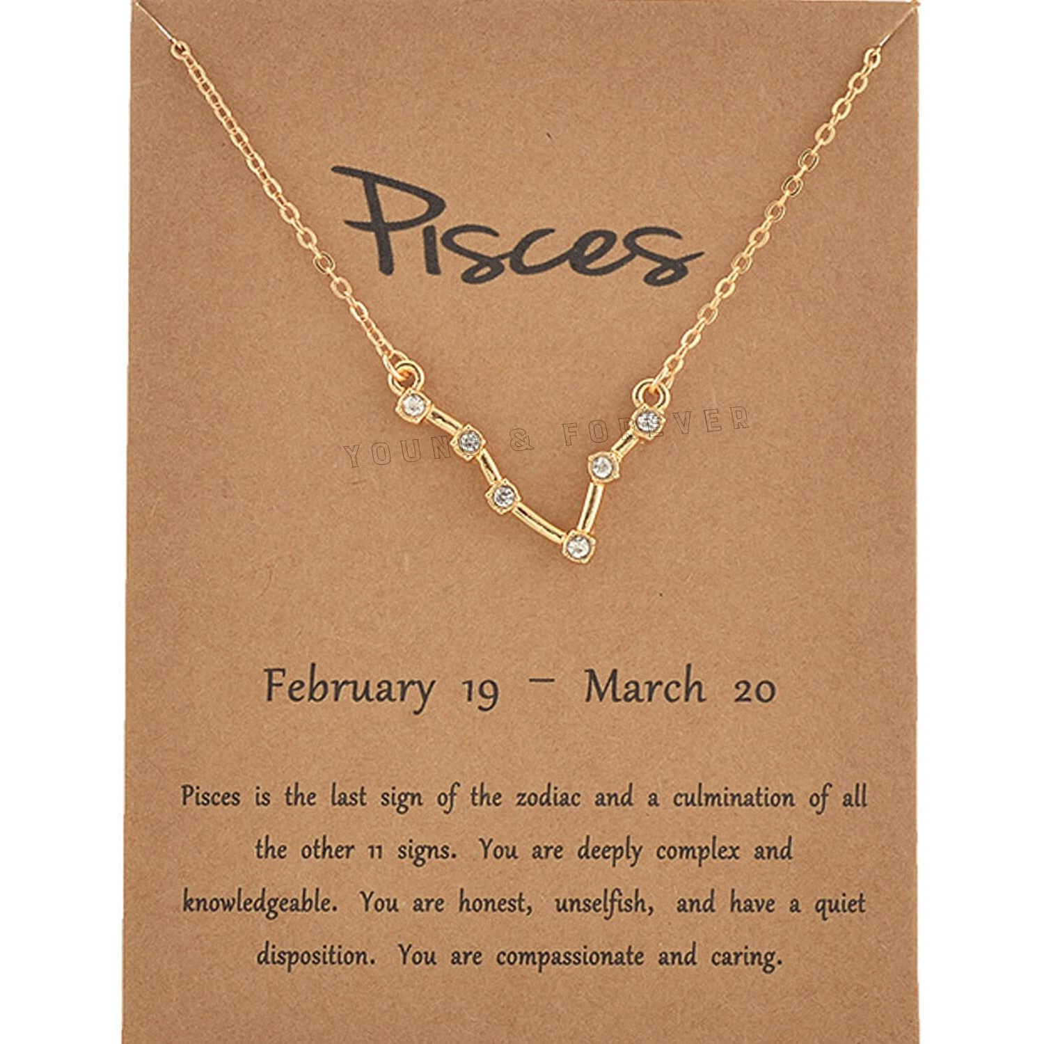 Young & Forever Gift Rakhi Gift Friendship Day Gifts Special 18K Gold Plated Cubic Zirconia Pisces Necklace 12 Zodiac Sign Constellation Letter Pendant Necklace for Women Girls, 18 Birthday Gift